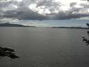 ./images/koeye/fitz-hugh/20180613/fitz-hugh20180613_161502.jpg