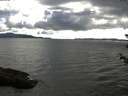 ./images/koeye/fitz-hugh/20180613/fitz-hugh20180613_181501.jpg