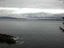 ./images/koeye/fitz-hugh/20180614/fitz-hugh20180614_045501.jpg