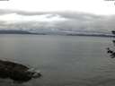 ./images/koeye/fitz-hugh/20180614/fitz-hugh20180614_053501.jpg