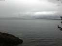 ./images/koeye/fitz-hugh/20180614/fitz-hugh20180614_071502.jpg