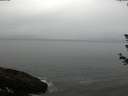 ./images/koeye/fitz-hugh/20180614/fitz-hugh20180614_072502.jpg