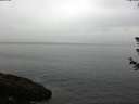 ./images/koeye/fitz-hugh/20180614/fitz-hugh20180614_073502.jpg