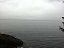 ./images/koeye/fitz-hugh/20180614/fitz-hugh20180614_074002.jpg