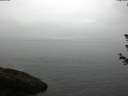 ./images/koeye/fitz-hugh/20180614/fitz-hugh20180614_074502.jpg
