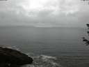 ./images/koeye/fitz-hugh/20180614/fitz-hugh20180614_080001.jpg