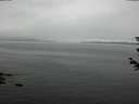 ./images/koeye/fitz-hugh/20180614/fitz-hugh20180614_132502.jpg