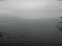 ./images/koeye/fitz-hugh/20180614/fitz-hugh20180614_133502.jpg