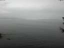 ./images/koeye/fitz-hugh/20180614/fitz-hugh20180614_134002.jpg
