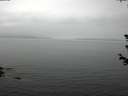 ./images/koeye/fitz-hugh/20180614/fitz-hugh20180614_134502.jpg