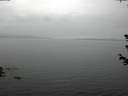 ./images/koeye/fitz-hugh/20180614/fitz-hugh20180614_135002.jpg