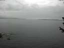 ./images/koeye/fitz-hugh/20180614/fitz-hugh20180614_135502.jpg