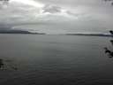 ./images/koeye/fitz-hugh/20180614/fitz-hugh20180614_141501.jpg