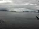./images/koeye/fitz-hugh/20180614/fitz-hugh20180614_143501.jpg
