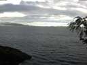 ./images/koeye/fitz-hugh/20180615/fitz-hugh20180615_070501.jpg