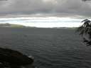 ./images/koeye/fitz-hugh/20180615/fitz-hugh20180615_072501.jpg