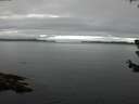 ./images/koeye/fitz-hugh/20180622/fitz-hugh20180622_065501.jpg