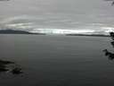 ./images/koeye/fitz-hugh/20180622/fitz-hugh20180622_092502.jpg