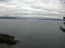 ./images/koeye/fitz-hugh/20180623/fitz-hugh20180623_065001.jpg