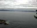 ./images/koeye/fitz-hugh/20180623/fitz-hugh20180623_083502.jpg