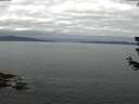 ./images/koeye/fitz-hugh/20180623/fitz-hugh20180623_095001.jpg