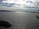 ./images/koeye/fitz-hugh/20180623/fitz-hugh20180623_165001.jpg