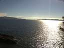 ./images/koeye/fitz-hugh/20180623/fitz-hugh20180623_180002.jpg
