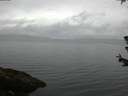 ./images/koeye/fitz-hugh/20180624/fitz-hugh20180624_054501.jpg