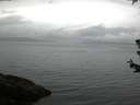 ./images/koeye/fitz-hugh/20180624/fitz-hugh20180624_055001.jpg