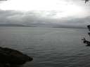 ./images/koeye/fitz-hugh/20180624/fitz-hugh20180624_055501.jpg