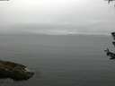 ./images/koeye/fitz-hugh/20180624/fitz-hugh20180624_075502.jpg