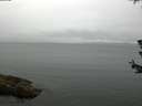 ./images/koeye/fitz-hugh/20180624/fitz-hugh20180624_080002.jpg