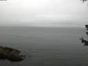 ./images/koeye/fitz-hugh/20180624/fitz-hugh20180624_080502.jpg