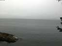 ./images/koeye/fitz-hugh/20180624/fitz-hugh20180624_081002.jpg