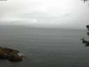 ./images/koeye/fitz-hugh/20180624/fitz-hugh20180624_081502.jpg