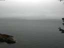 ./images/koeye/fitz-hugh/20180624/fitz-hugh20180624_084001.jpg