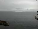 ./images/koeye/fitz-hugh/20180624/fitz-hugh20180624_091001.jpg