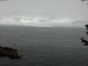 ./images/koeye/fitz-hugh/20180624/fitz-hugh20180624_091501.jpg