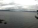 ./images/koeye/fitz-hugh/20180624/fitz-hugh20180624_115001.jpg