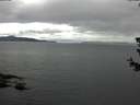 ./images/koeye/fitz-hugh/20180624/fitz-hugh20180624_125501.jpg