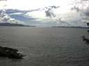 ./images/koeye/fitz-hugh/20180625/fitz-hugh20180625_155502.jpg