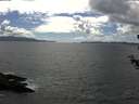 ./images/koeye/fitz-hugh/20180625/fitz-hugh20180625_161002.jpg