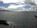 ./images/koeye/fitz-hugh/20180625/fitz-hugh20180625_161502.jpg