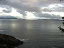 ./images/koeye/fitz-hugh/20180626/fitz-hugh20180626_055502.jpg