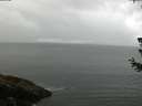 ./images/koeye/fitz-hugh/20180626/fitz-hugh20180626_080002.jpg