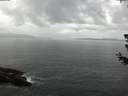 ./images/koeye/fitz-hugh/20180626/fitz-hugh20180626_104001.jpg