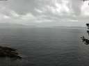 ./images/koeye/fitz-hugh/20180626/fitz-hugh20180626_104501.jpg