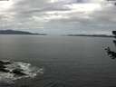 ./images/koeye/fitz-hugh/20180626/fitz-hugh20180626_115502.jpg