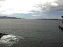 ./images/koeye/fitz-hugh/20180626/fitz-hugh20180626_144002.jpg