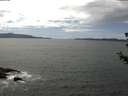 ./images/koeye/fitz-hugh/20180626/fitz-hugh20180626_144502.jpg